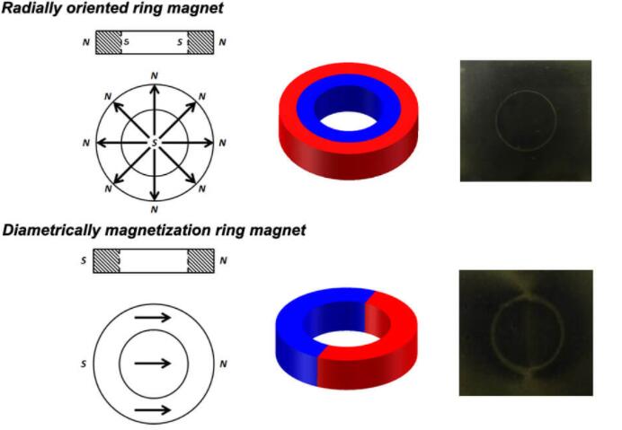 Ring magnet field