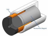 Neodymium Magnet (1)